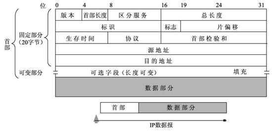 IP数据格式示意图